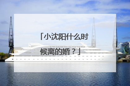 小沈阳什么时候离的婚?