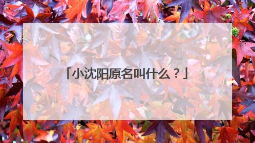 小沈阳原名叫什么？