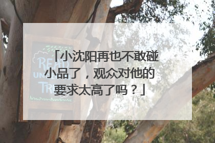 小沈阳再也不敢碰小品了,观众对他的要求太高了吗?