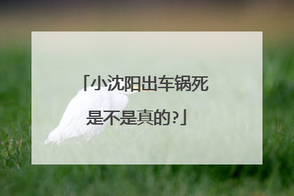 小沈阳出车锅死是不是真的?