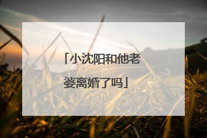 小沈阳和他老婆离婚了吗