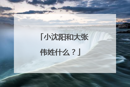 小沈阳和大张伟姓什么？