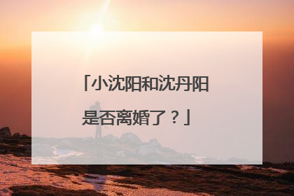 小沈阳和沈丹阳是否离婚了？