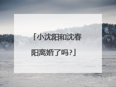 小沈阳和沈春阳离婚了吗?