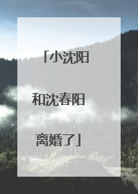 小沈阳和沈春阳离婚了