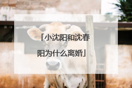 小沈阳和沈春阳为什么离婚