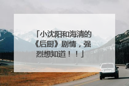 小沈阳和海清的《后厨》剧情，强烈想知道！！