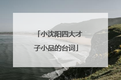 小沈阳四大才子小品的台词