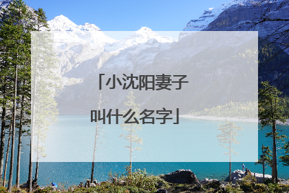 小沈阳妻子叫什么名字