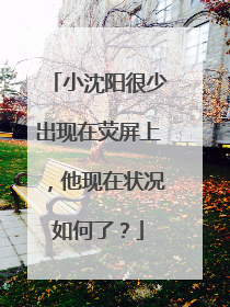 小沈阳很少出现在荧屏上,他现在状况如何了?