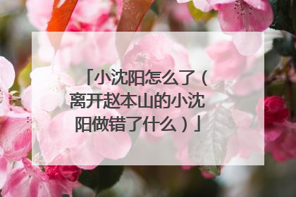 小沈阳怎么了(离开赵本山的小沈阳做错了什么)