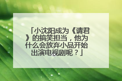 小沈阳成为《请君》的搞笑担当，他为什么会放弃小品开始出演电视剧呢？