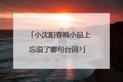 小沈阳春晚小品上忘说了哪句台词?