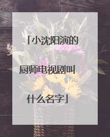 小沈阳演的厨师电视剧叫什么名字