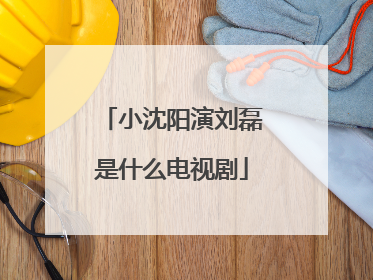 小沈阳演刘磊是什么电视剧