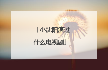 小沈阳演过什么电视剧