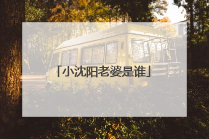 小沈阳老婆是谁