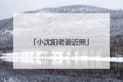 小沈阳老婆近照