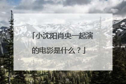 小沈阳肖央一起演的电影是什么?