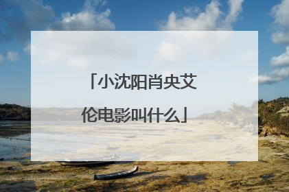 小沈阳肖央艾伦电影叫什么