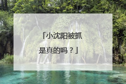 小沈阳被抓是真的吗?