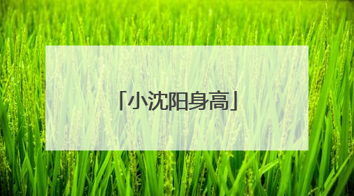 小沈阳身高