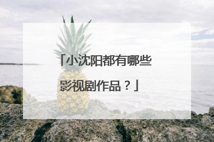小沈阳都有哪些影视剧作品？