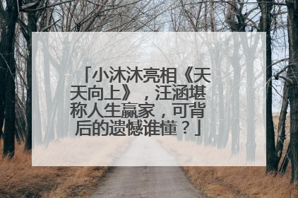小沐沐亮相《天天向上》，汪涵堪称人生赢家，可背后的遗憾谁懂？