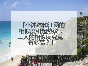 小沐沐和汪涵的相似度引起热议,二人的相似度究竟有多高?