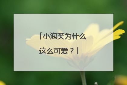 小泡芙为什么这么可爱？