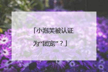 小泡芙被认证为“团宠”?