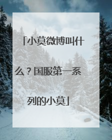 小莫微博叫什么？国服第一系列的小莫