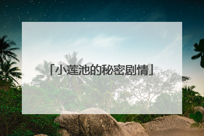 小莲池的秘密剧情