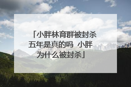 小胖林育群被封杀五年是真的吗 小胖为什么被封杀