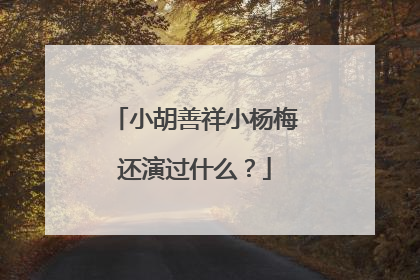小胡善祥小杨梅还演过什么？