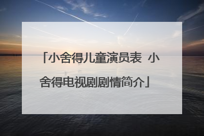 小舍得儿童演员表 小舍得电视剧剧情简介