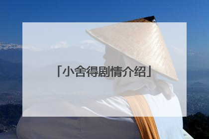 小舍得剧情介绍