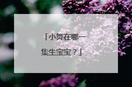 小舞在哪一集生宝宝?