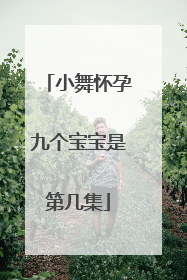 小舞怀孕九个宝宝是第几集