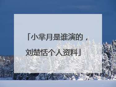 小芈月是谁演的，刘楚恬个人资料