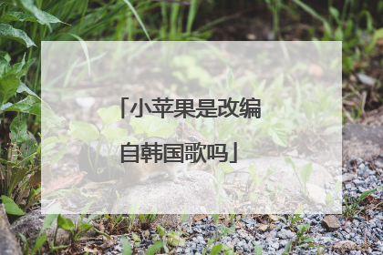 小苹果是改编自韩国歌吗