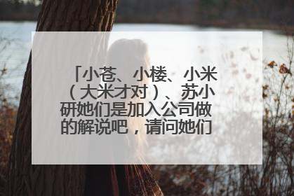 小苍、小楼、小米（大米才对）、苏小研她们是加入公司做的解说吧，请问她们加入的公司叫啥