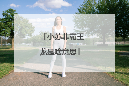 小苏菲霸王龙是啥意思