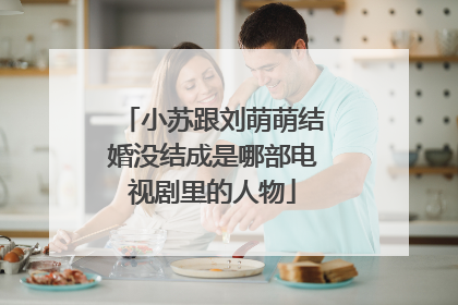 小苏跟刘萌萌结婚没结成是哪部电视剧里的人物