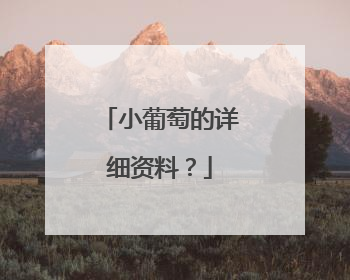 小葡萄的详细资料？