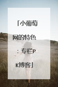 小葡萄网的特色：专栏PK博客