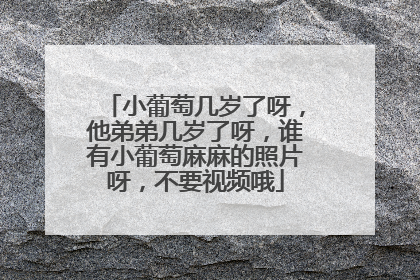 小葡萄几岁了呀，他弟弟几岁了呀，谁有小葡萄麻麻的照片呀，不要视频哦