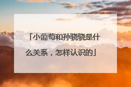 小葡萄和孙骁骁是什么关系，怎样认识的