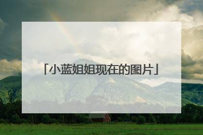 小蓝姐姐现在的图片