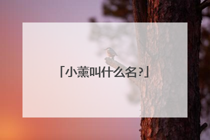 小薰叫什么名?